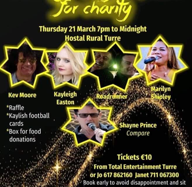A Night With The Stars For Charity